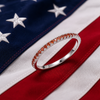 THE CRIMSON PROMISE RING