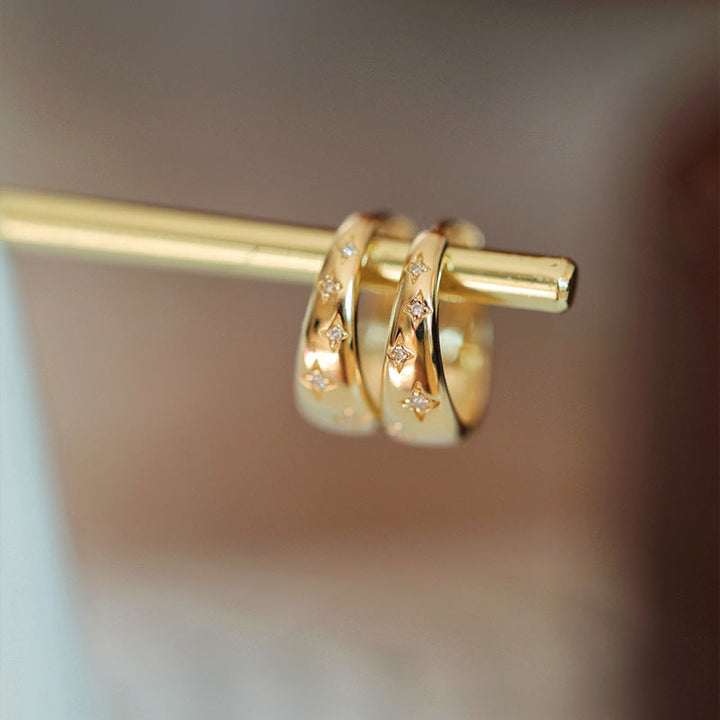 Luxurious Earrings