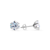 Elegant White Tera Earrings