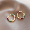 Multicolor Enamel Hoop Earrings